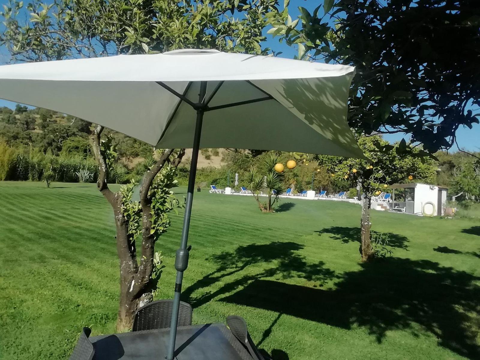 Monte Do Adail Turismo Rural Casa De Campo Vila Nova de Milfontes Eksteriør billede